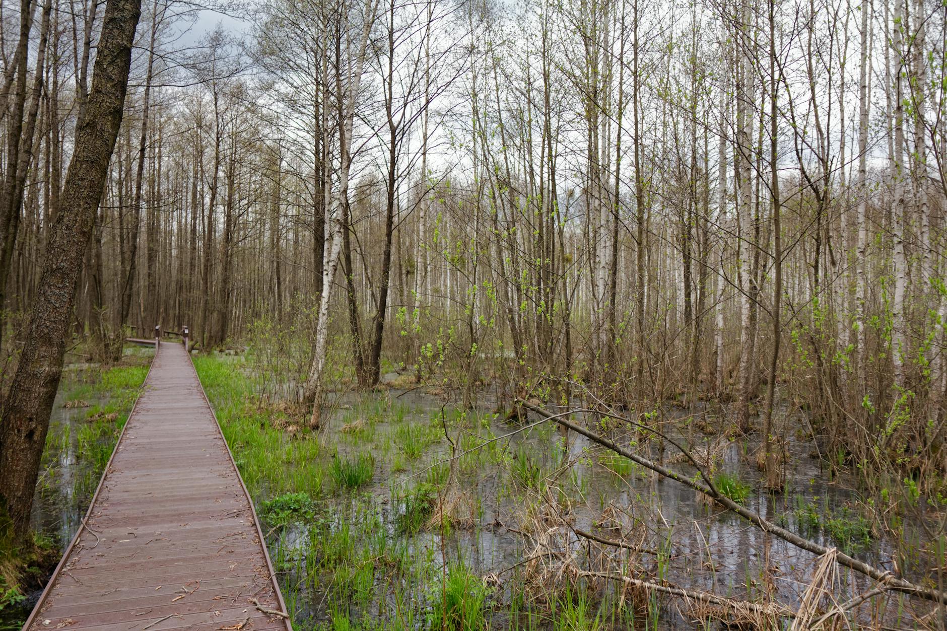 Uczestnicy majówki w Międzyrzecu Podlaskim cieszący się dniem na świeżym powietrzu, z widokiem na miasto w tle.